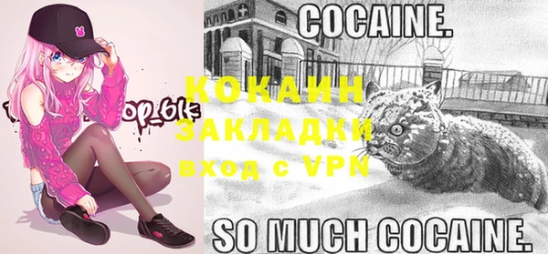 шишки Воткинск