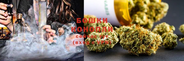 прущие грибы Арсеньев