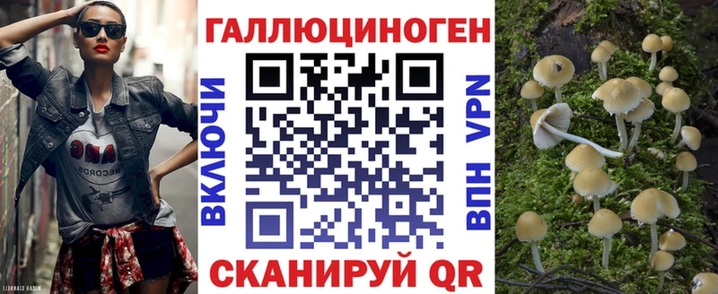 Галлюциногенные грибы GOLDEN TEACHER  купить  цена  Елабуга 